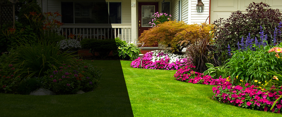 Stayton Landscapers